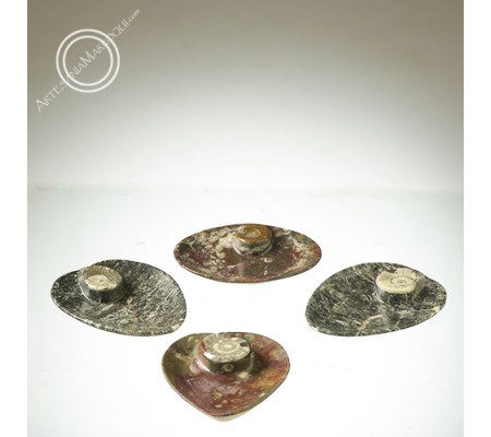 Fossil soap dishes